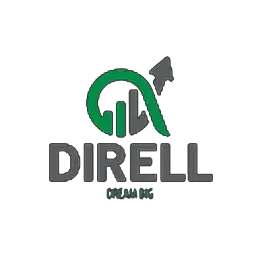 Director​ at Direll Innovations Pvt Ltd